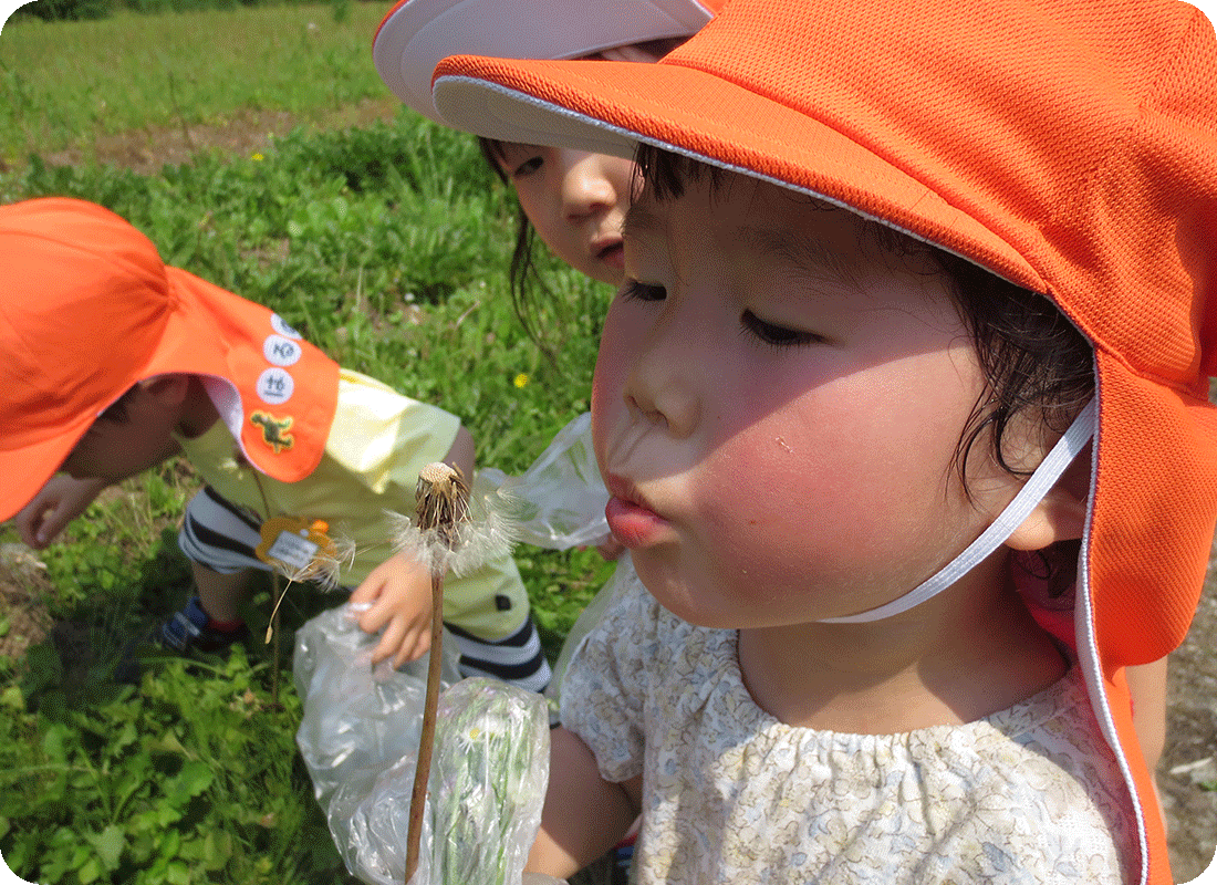 自然と遊ぶ