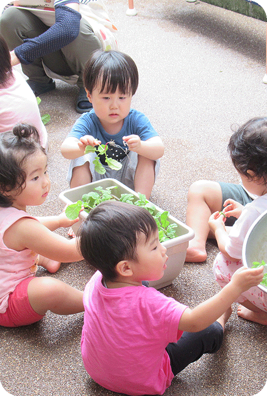 植物の手入れ